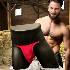 Mens Stretch Lace Bikini Style Manhood Pouch Low Waist Underwear